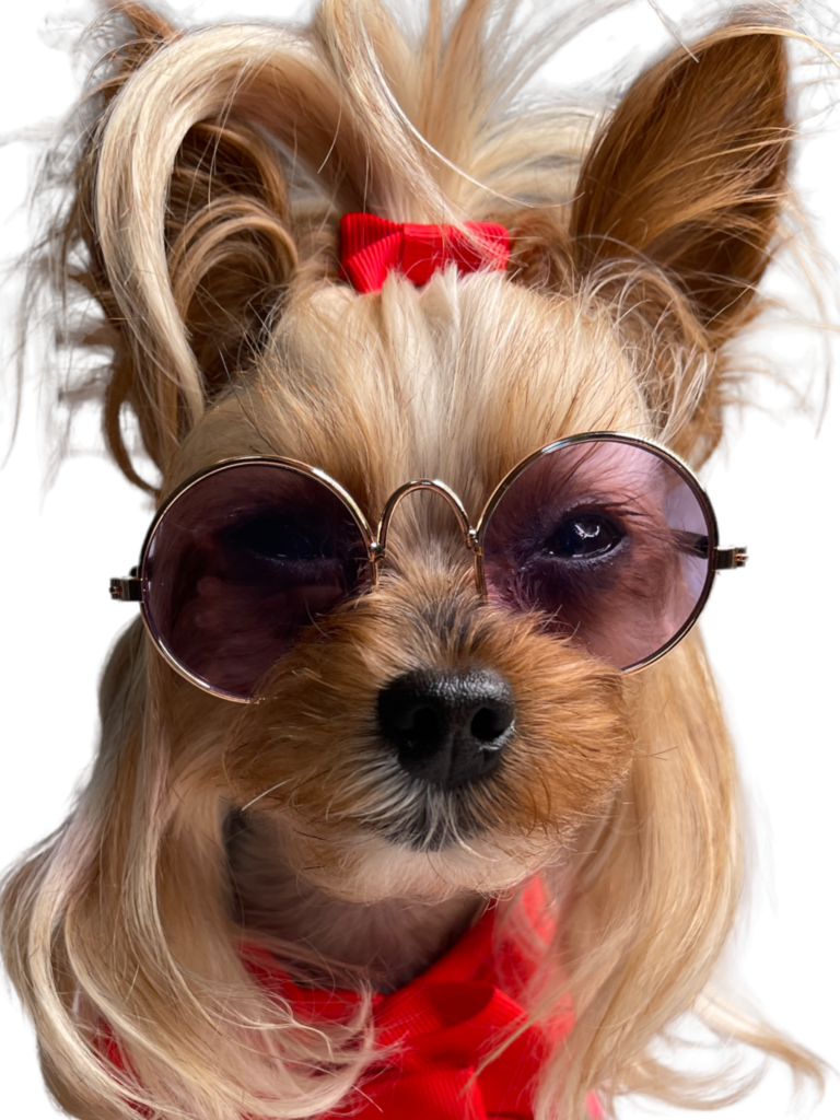 Glasses