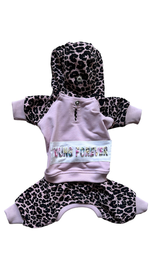 Designer Inspired Couture Dog Track Suit Outfit